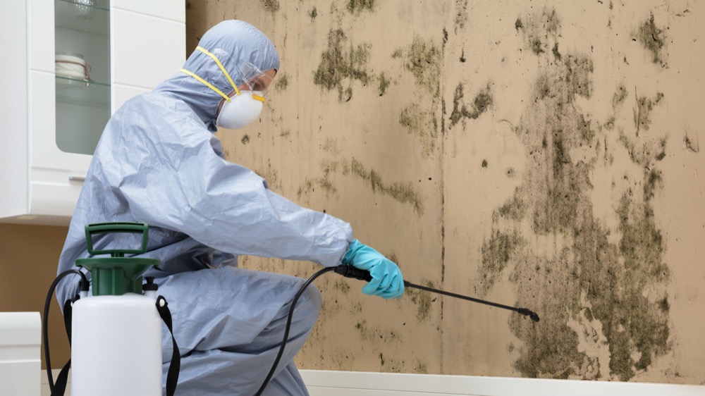 How to Generate Leads for Your Mold Removal Business in Your Area